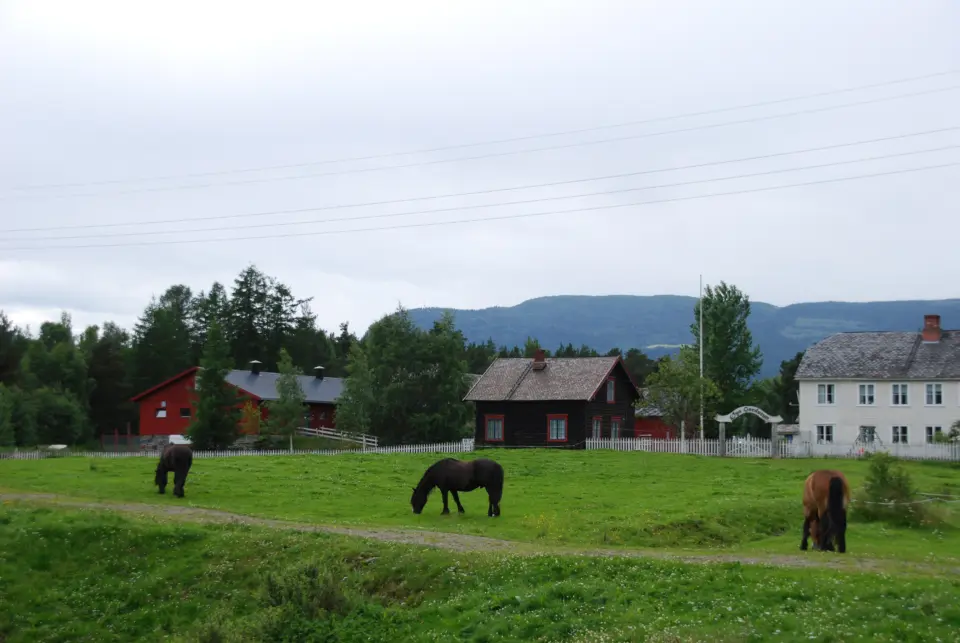 Hester på beite foran husene på Øya Gård